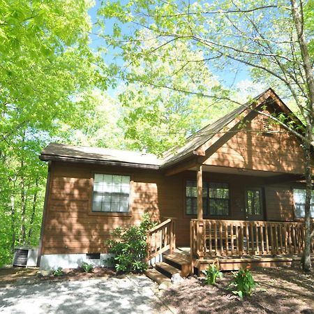 פיג'ן פורג' Adalynn'S Mountain Retreat-Hot Tub, 1089 Of Free Tickets For Each Paid Day, Dollywood And More! מראה חיצוני תמונה